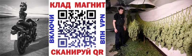 Купить закладку Гаврилов Посад A-PVP  Меф  Cocaine  ГАШИШ  Канабис 