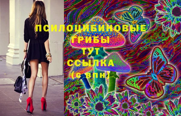 а пвп мука Алзамай