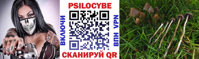 Галлюциногенные грибы мицелий  купить  цена  Гаврилов Посад 